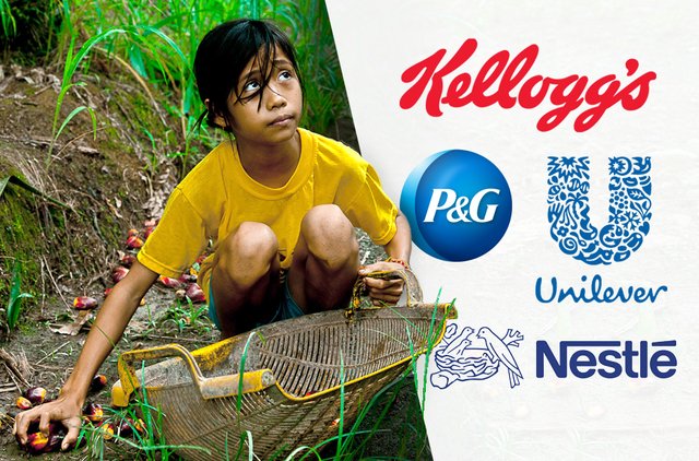 kinderarbeit-palmoelplantage-kelloggs-nestle-pg-unilever.jpg