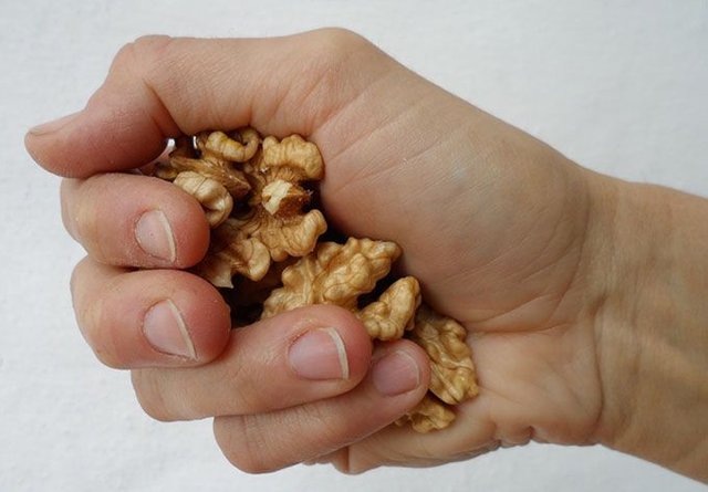 handful walnut2.jpg