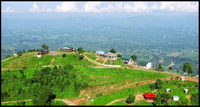 Nilgiri.jpg