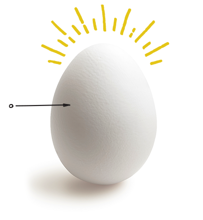 facts-main-egg.png