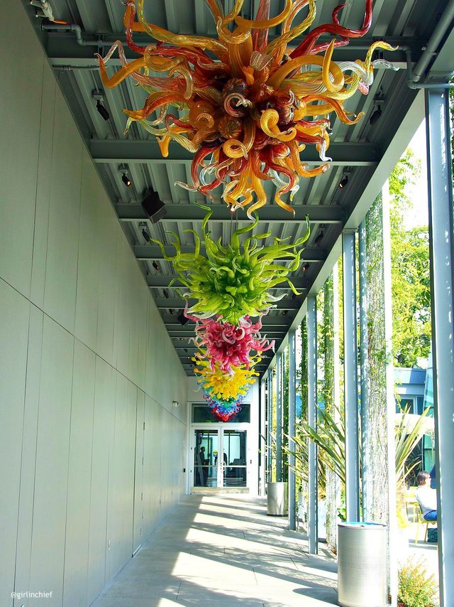 chihuly-garden-and-glass-seattle-girlinchief-12.jpg