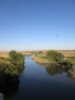 Mol River looking good (150x200).jpg