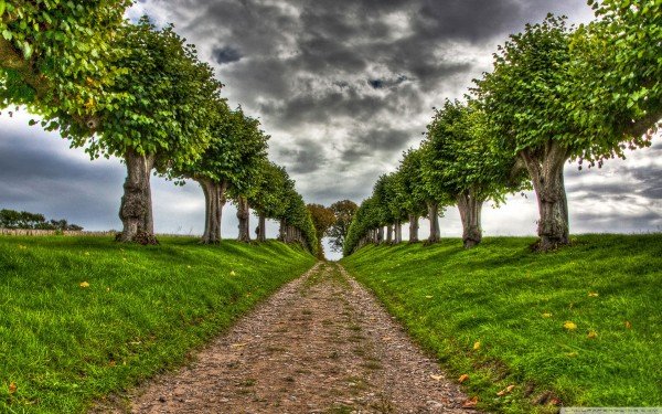 beautiful-3d-nature-wallpapers-600x375.jpg