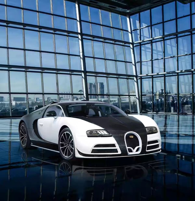 limited_edition_bugatti_veyron_by_mansory_vivere.jpg