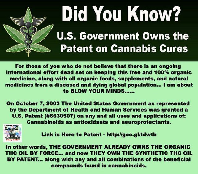 d2778d8ab165609e58274203a471f31d--marijuana-facts-medical-marijuana.jpg