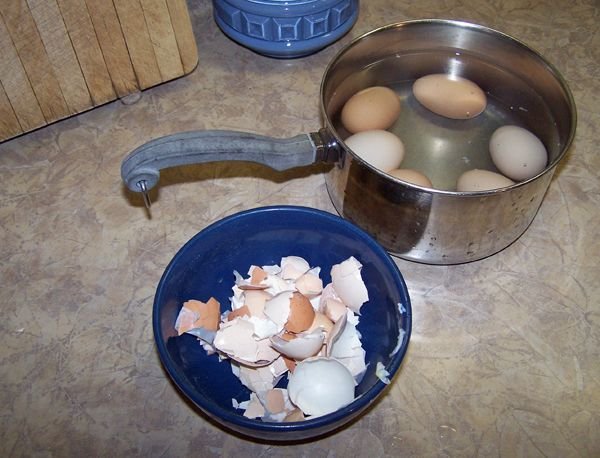 Deviled eggs - peeling crop April 2018.jpg