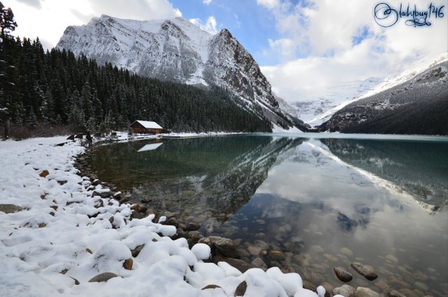 lake louise7.jpg