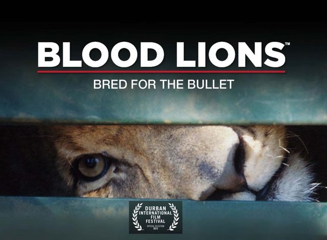 bloodlions.jpg