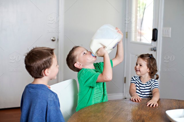 stock-photo-food-healthy-jug-carton-gallon-chug-41e500a3-5072-40ed-8cf1-da29bd91224c.jpg