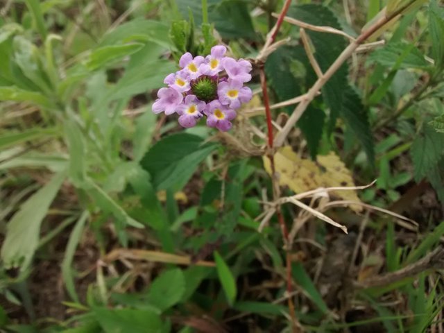 IMG_20160514_155523.jpg