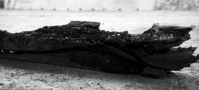 charred wood.PNG