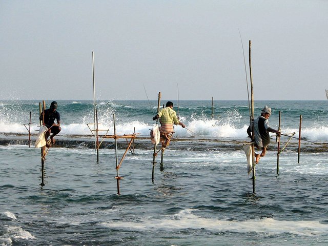 1280px-Stilts_fishermen_Sri_Lanka_02.jpg