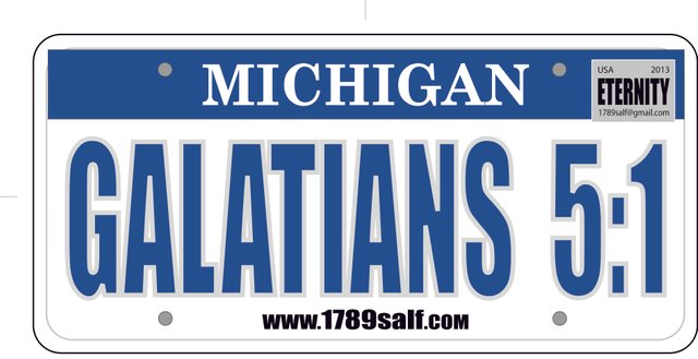 license plate - gal 5-1 - salf.jpg