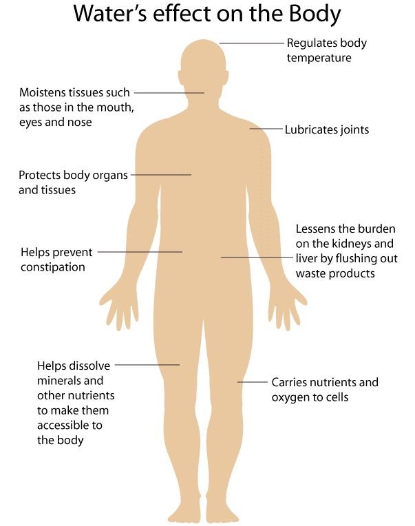 Benefits of Consuming Warm Water For The Human Body