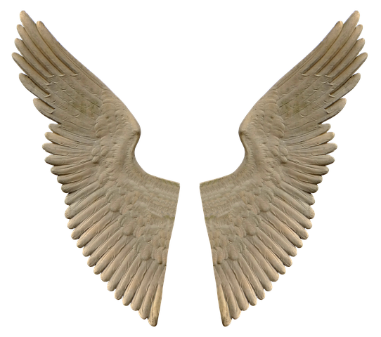 wing-2908295__480.png