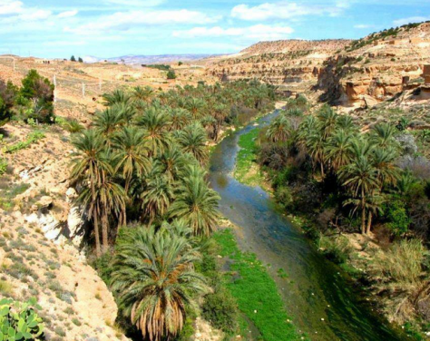 oasis-algeria-5.png