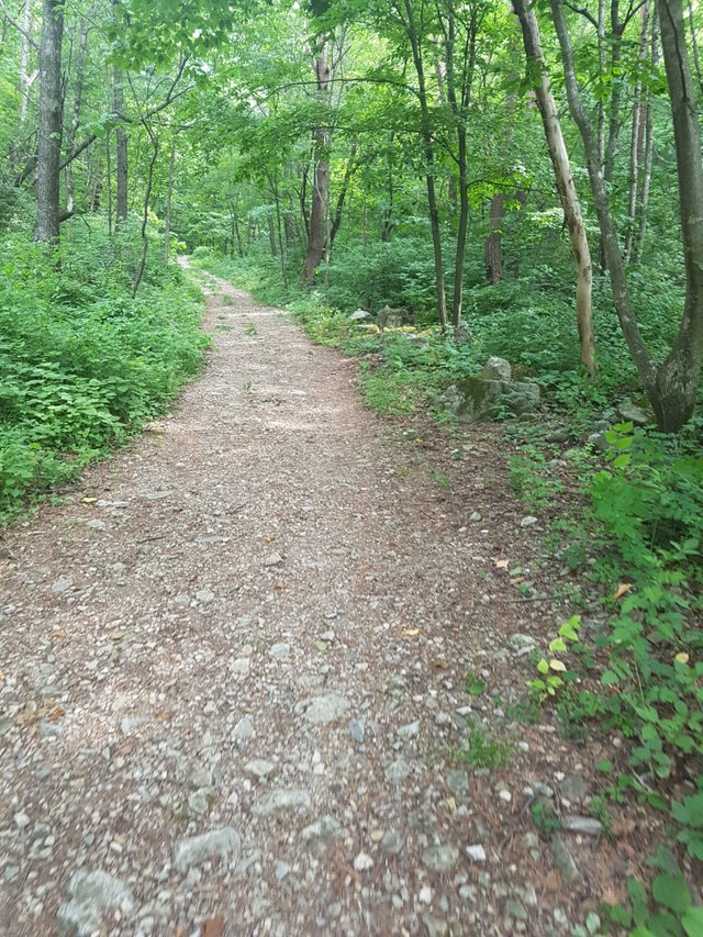 20170619_155044.jpg