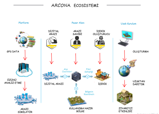 arcona 4.png