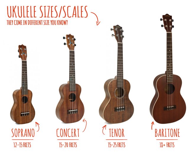 ukulele-sizes-1.jpg