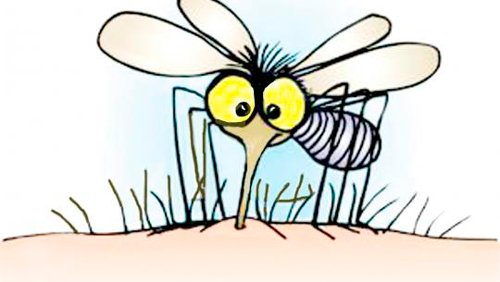 colonia-repelente-mosquitos1.jpg