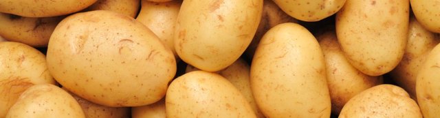 potato-1200x330.jpg