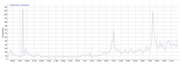 TXBCH.jpg