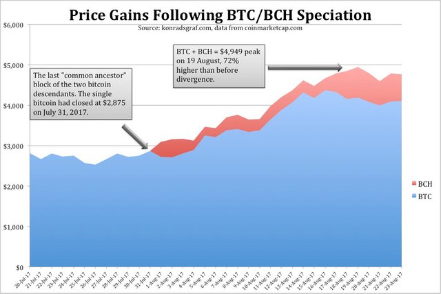 bch vs btc.jpg