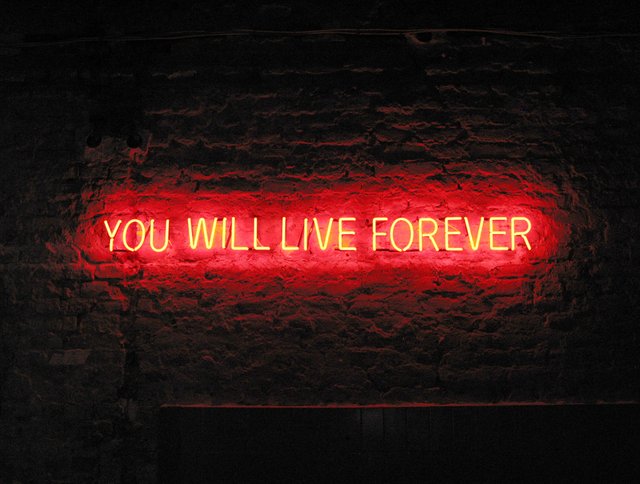 Forever-Tim-Etchells-Neon-2010-Image-Courtesy-of-the-Artist-002-72dpi.jpg.jpg