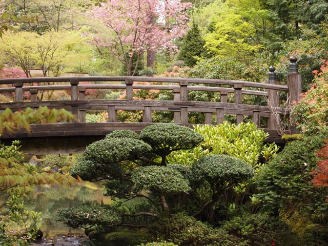 JapaneseGarden 037.jpg