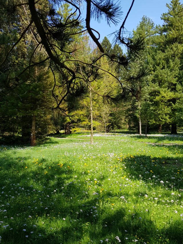 20180421_120608.jpg