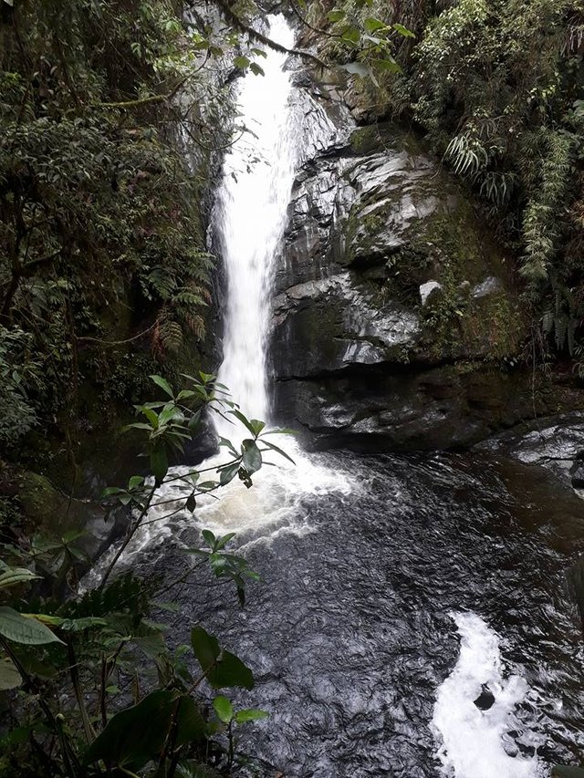 CHORRERA1.![POZA.jpg](https://steemitimages.com/DQmSwjksLaA2b7crPZt9KSiNmDnhsEaEbaRoU8tWc2GvPNF/POZA.jpg)jpg