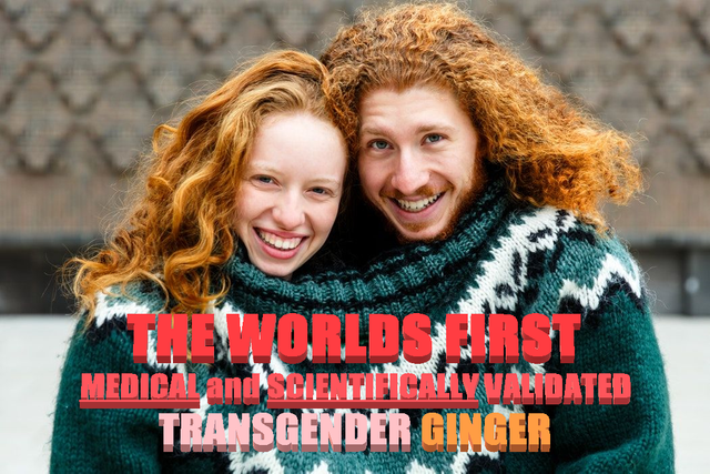 TRANSGINGER.png