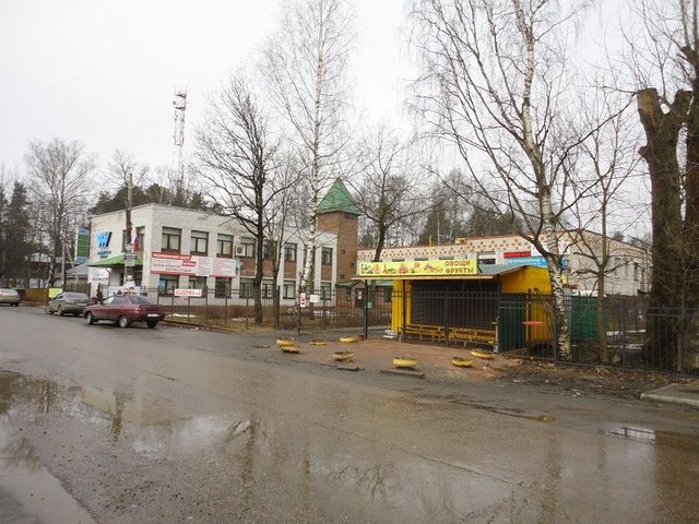 DSC09444.JPG
