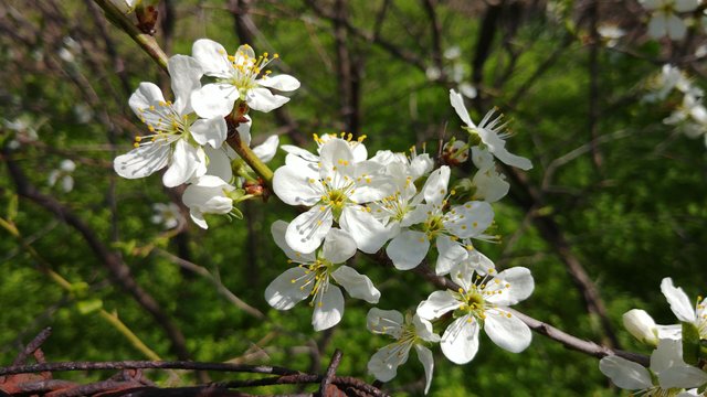 20180408_122007.jpg