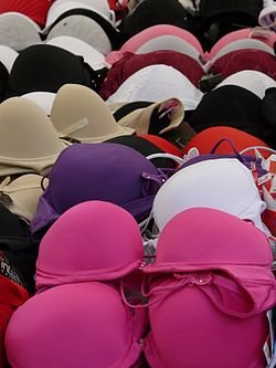 Bra.jpg