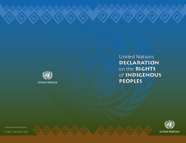 united-nations-declaration-on-the-rights-of-indigenous-peoples-1-728.jpg