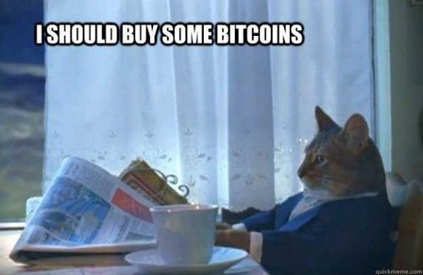 bitcoin-pet-meme-1.jpg