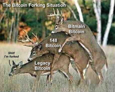 btcdeer.jpg