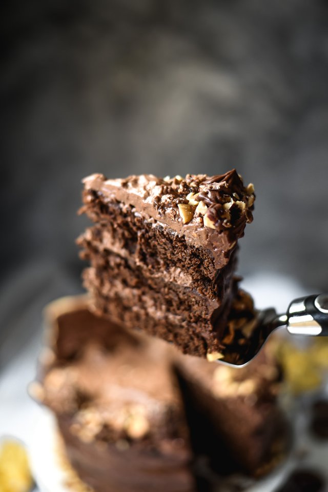 Chocolate Nutella Mousse Moose Cake (5).jpg