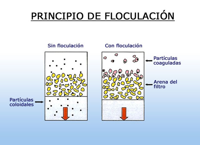 floculacion-01.jpg