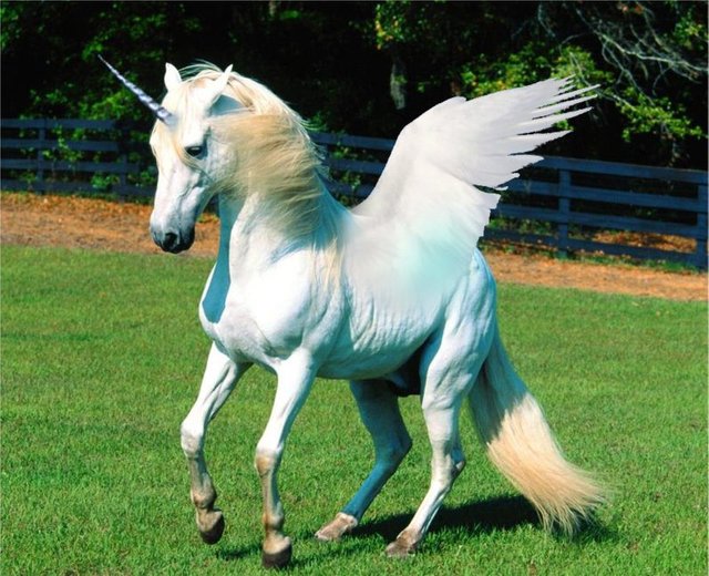 unicorn-history-myth-unicorns.jpg