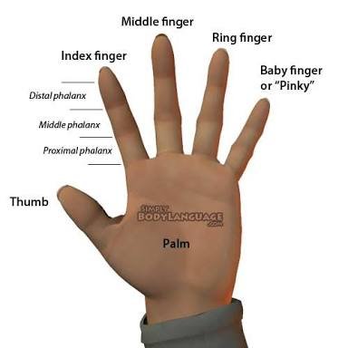 Woman meaning for a ring finger Right