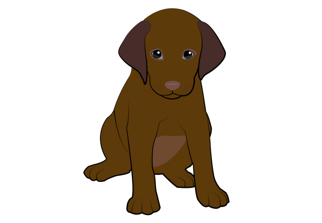 6 Chocolate puppy.png