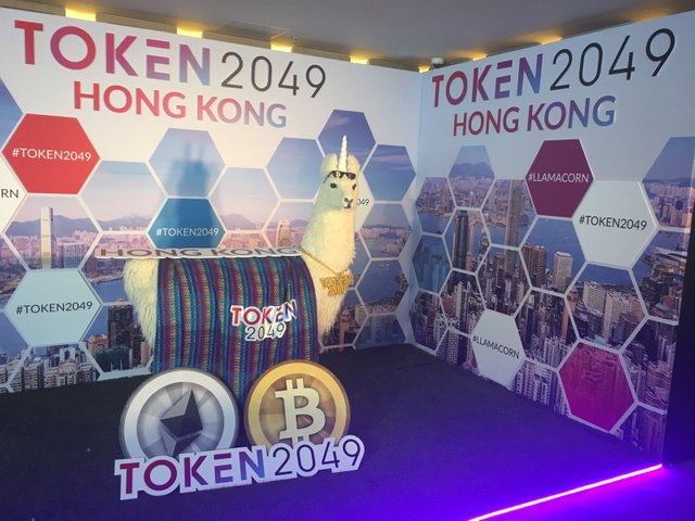 token 2049.jpg