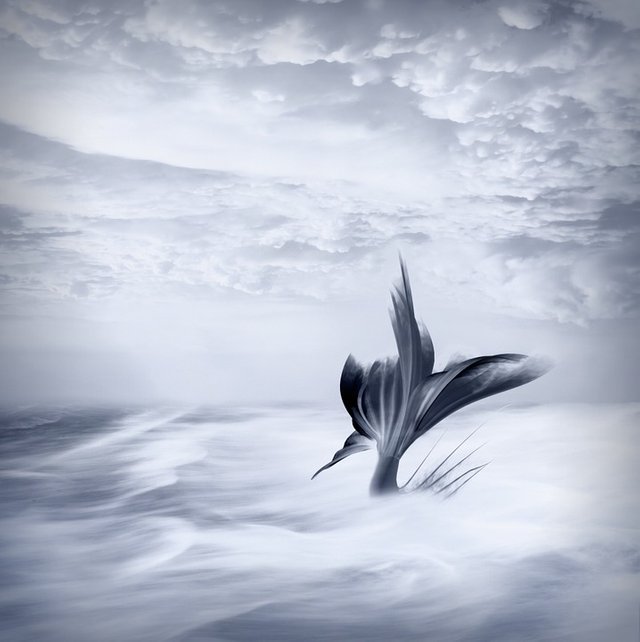 background-647559_960_720.jpg