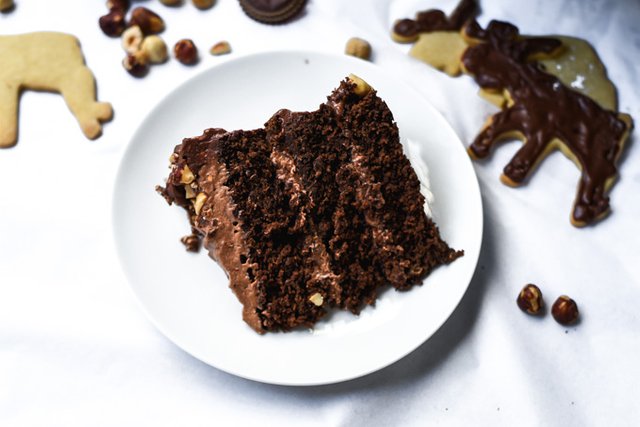 Chocolate Nutella Mousse Moose Cake (11).jpg
