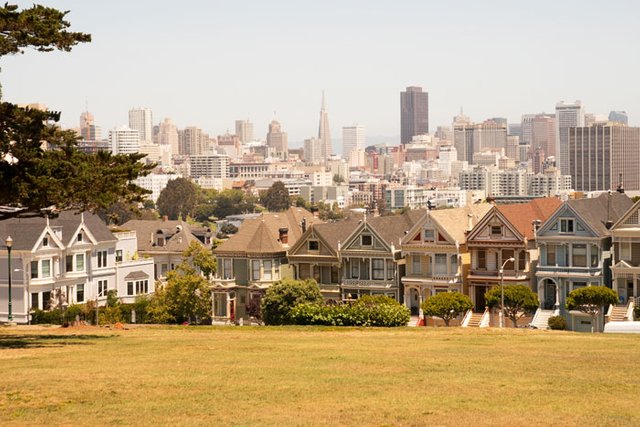 PaintedLadies.jpg