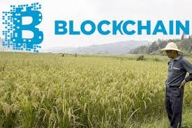 blockchain and agriculture.jpg