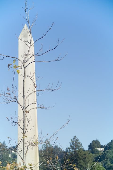 20171008-OaklandPiedmontCemetary10-8-40.jpg