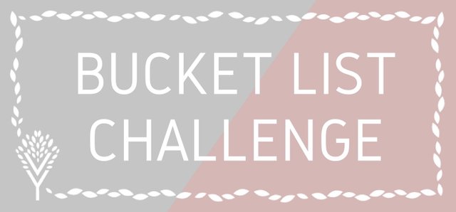 bucket list challenge.jpg